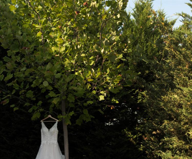 Stephanie & Jordon - Rose Corfu Weddings